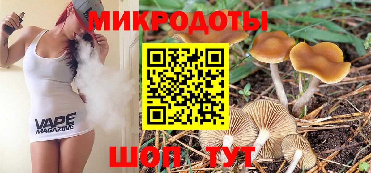 Гатчина  Галлюциногенные грибы мицелий  Вход с VPN 