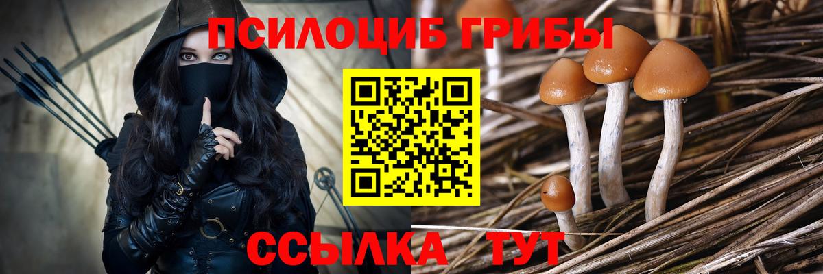Галлюциногенные грибы ЛСД Гатчина